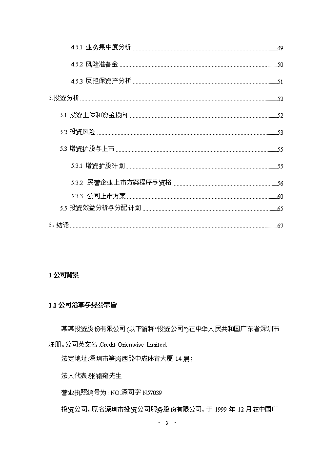 投資股份有限公司項目立項申報可研報告.doc_中文版高速下載第4頁(yè)