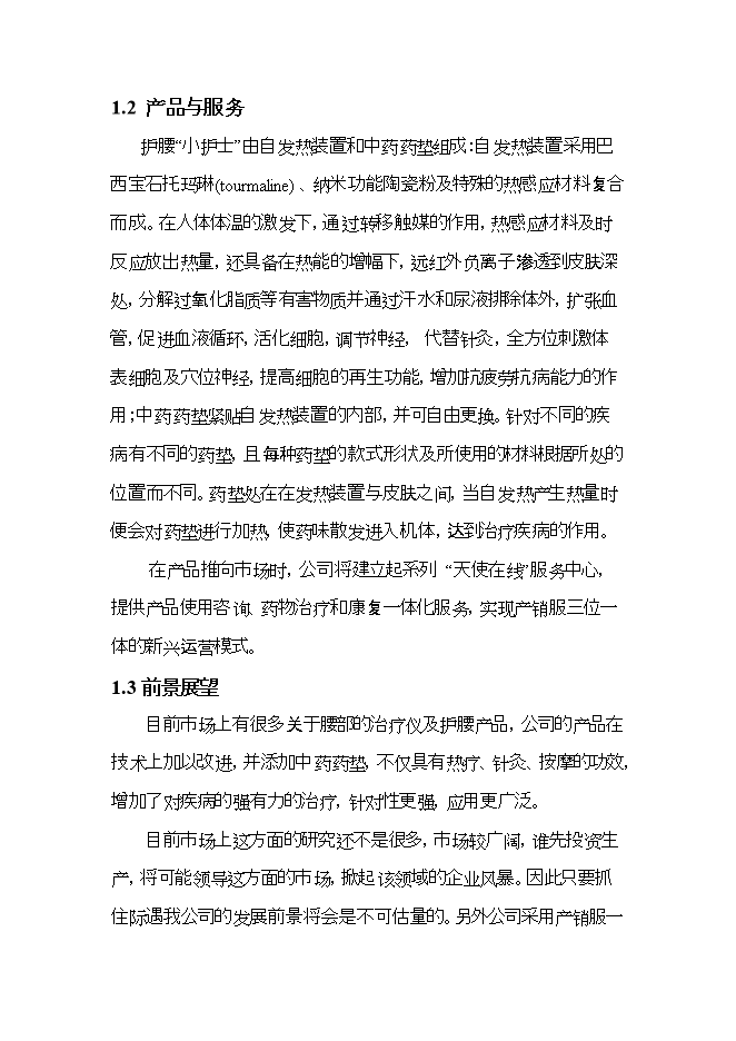 護腰“小護士”系列產(chǎn)品項目立項申報可研報告.doc_中文版高速下載第4頁(yè)