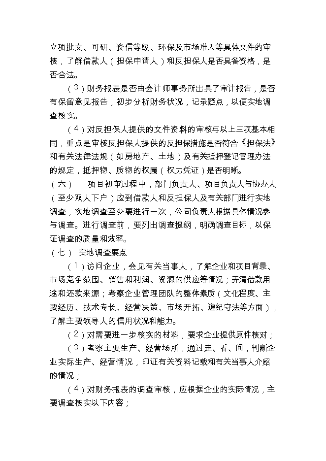 投資成立擔保公司項目立項申報可研報告.doc_中文版高速下載第13頁(yè)