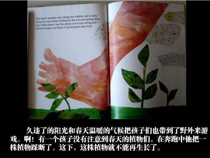 繪本故事：小種子（優(yōu)）第11頁(yè)