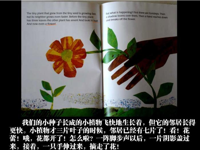 繪本故事：小種子（優(yōu)）第12頁(yè)