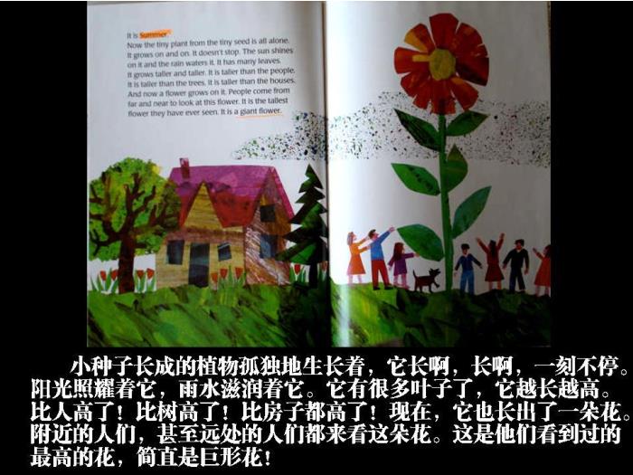 繪本故事：小種子（優(yōu)）第14頁(yè)