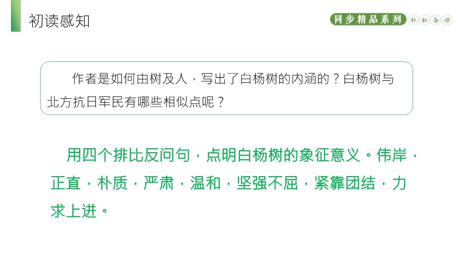 《白楊禮贊》語(yǔ)文人教版八年級上冊PPT（精）第11頁(yè)
