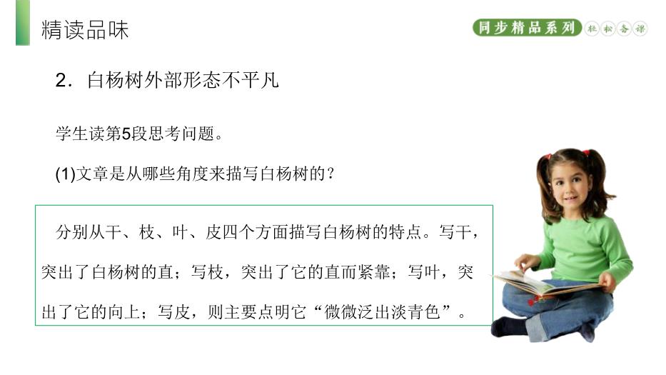 《白楊禮贊》語(yǔ)文人教版八年級上冊PPT（精）第13頁(yè)