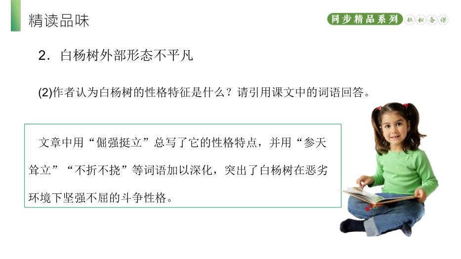 《白楊禮贊》語(yǔ)文人教版八年級上冊PPT（精）第14頁(yè)