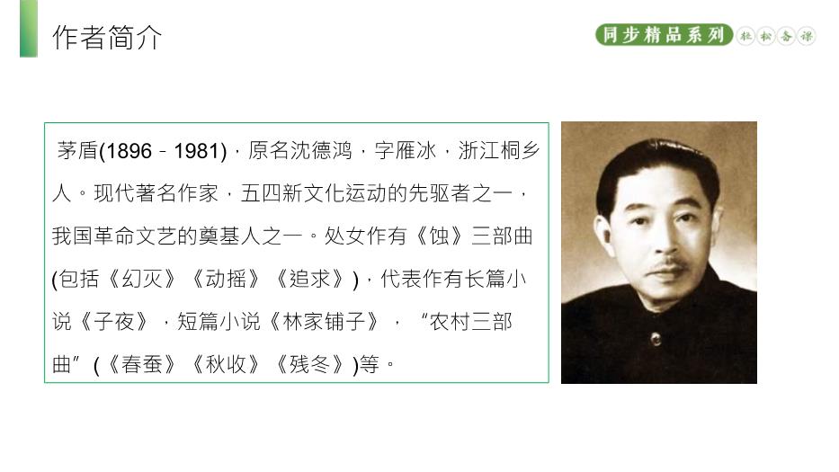 《白楊禮贊》語(yǔ)文人教版八年級上冊PPT（精）第4頁(yè)