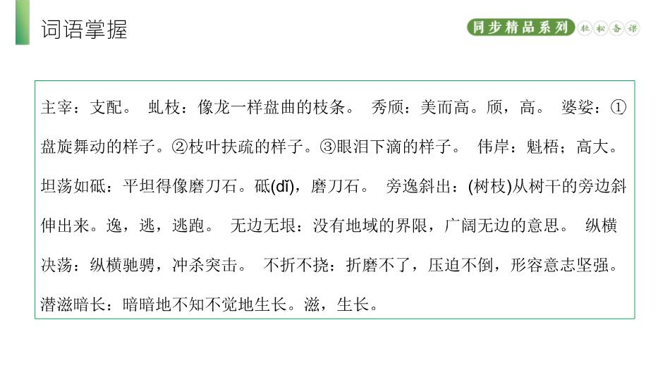 《白楊禮贊》語(yǔ)文人教版八年級上冊PPT（精）第7頁(yè)