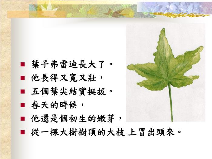 繪本故事：一片葉子落下來(lái)（優(yōu)）第5頁(yè)