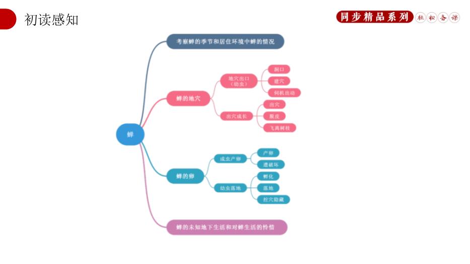 《蟬》語(yǔ)文人教版八年級上冊PPT（精）第11頁(yè)