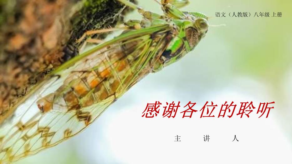 《蟬》語(yǔ)文人教版八年級上冊PPT（精）第15頁(yè)