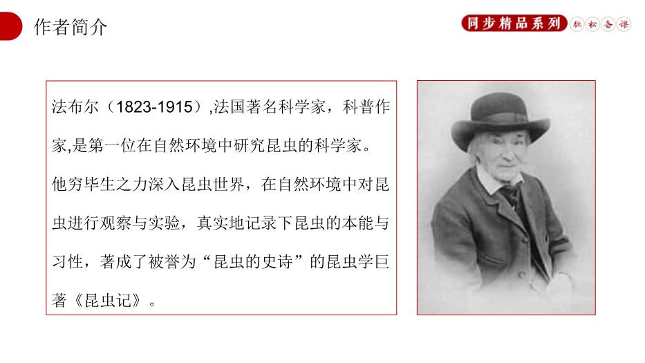 《蟬》語(yǔ)文人教版八年級上冊PPT（精）第3頁(yè)