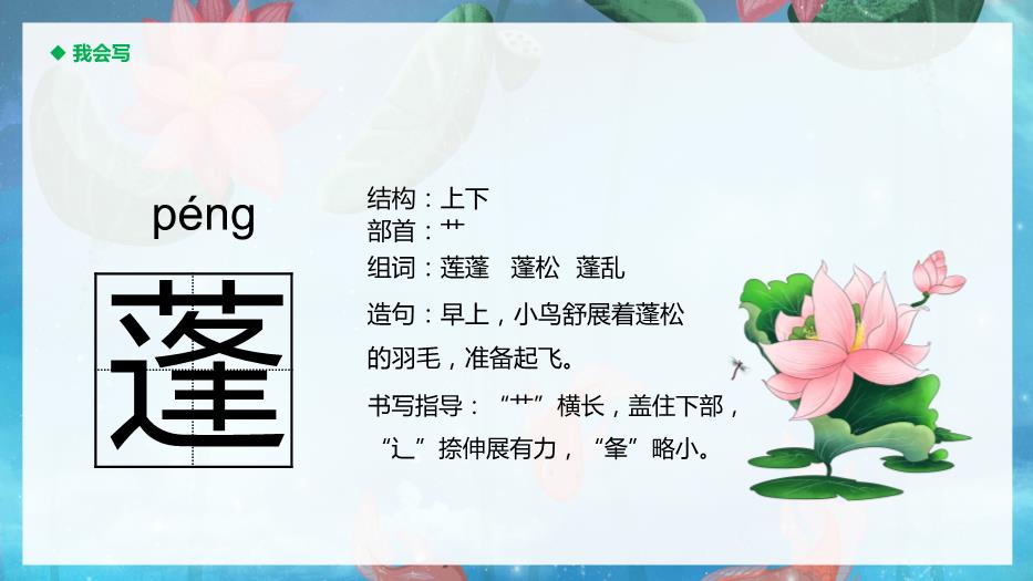 人教版三年級語(yǔ)文下冊荷花課件PPT第10頁(yè)
