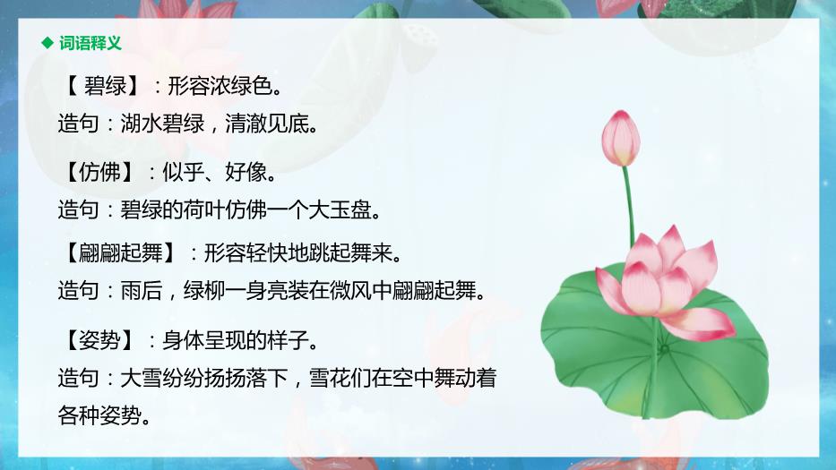 人教版三年級語(yǔ)文下冊荷花課件PPT第7頁(yè)