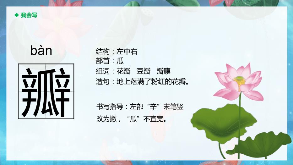 人教版三年級語(yǔ)文下冊荷花課件PPT第8頁(yè)